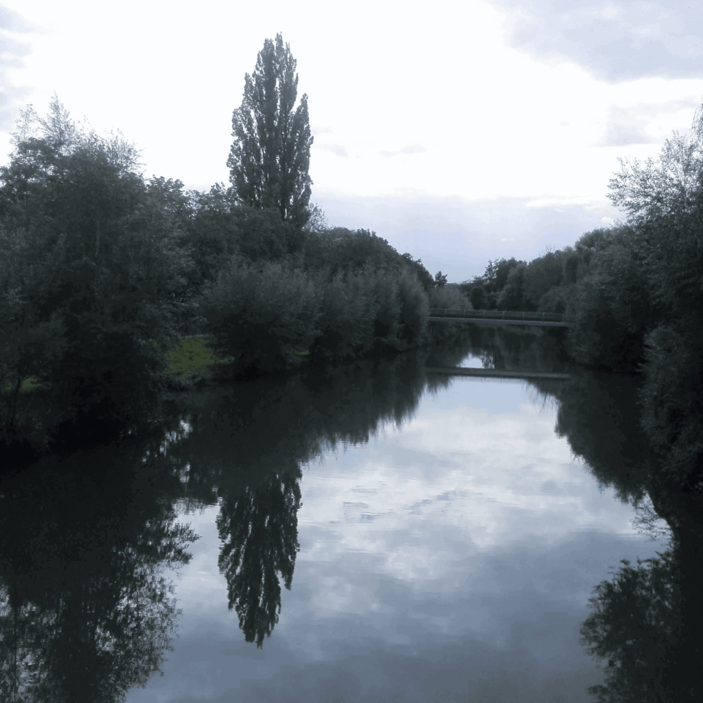bumerang