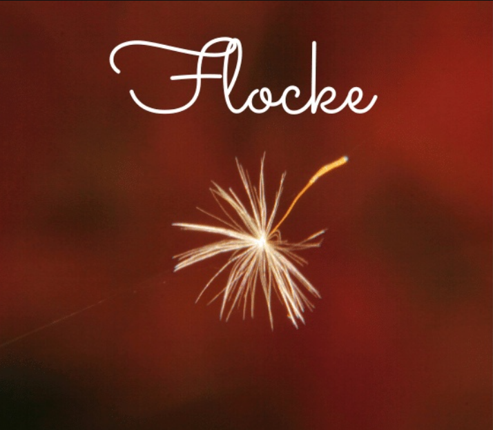 flocke